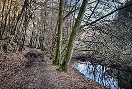 Bernhard Saalfeld - Dhuenn (1v9)